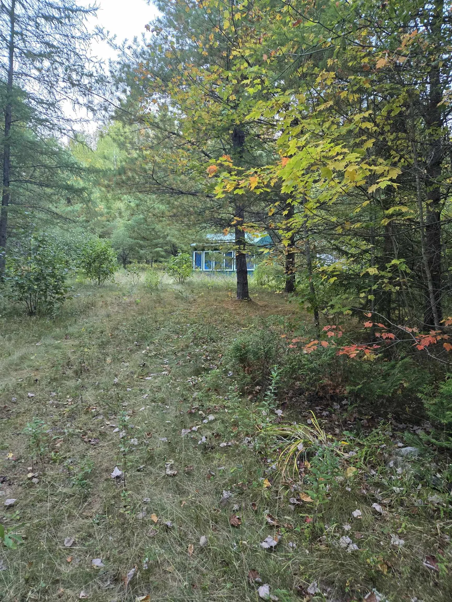 1058 Red Brook Road Groton VT 05046