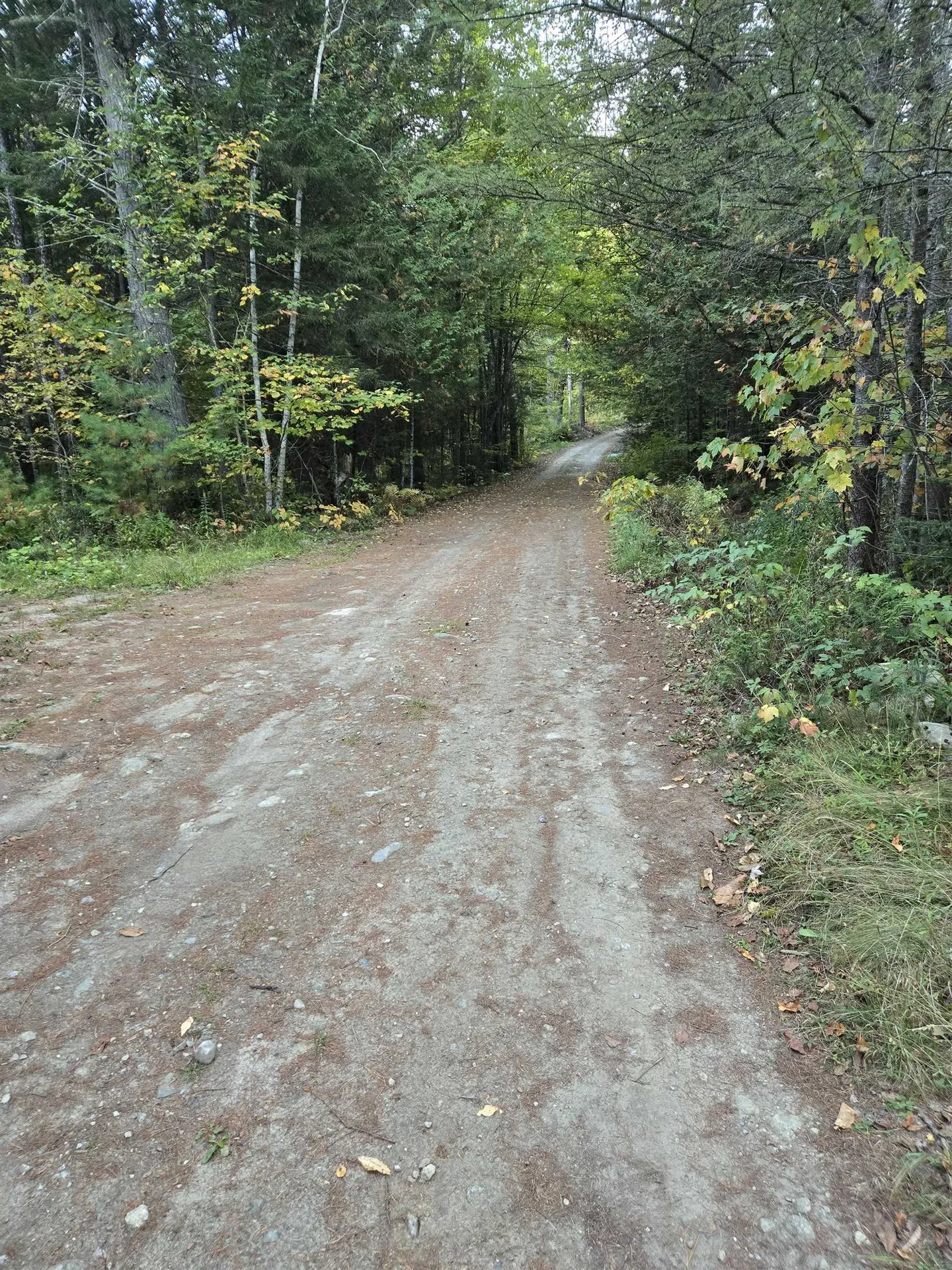 1058 Red Brook Road Groton VT 05046