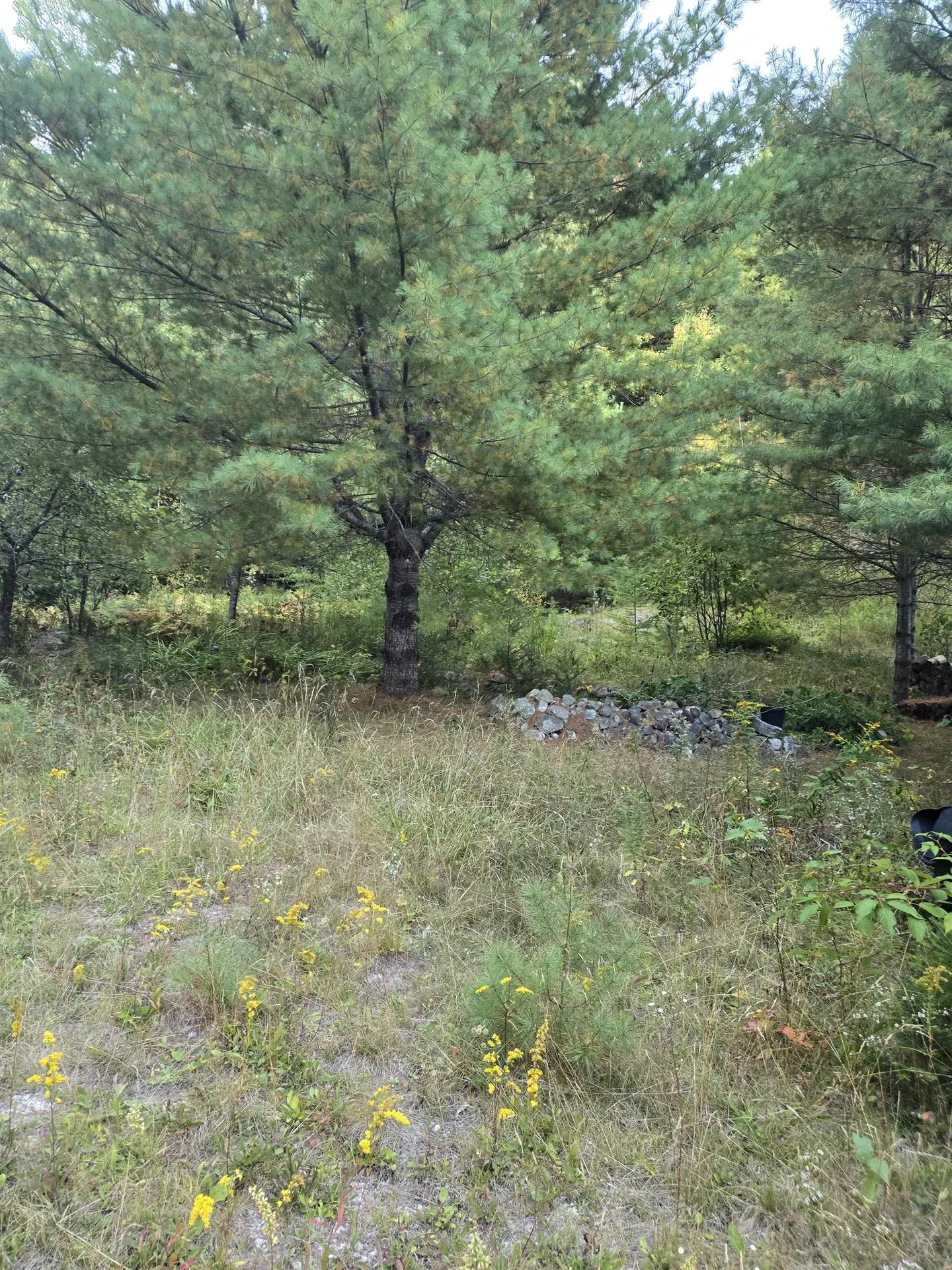 1058 Red Brook Road Groton VT 05046