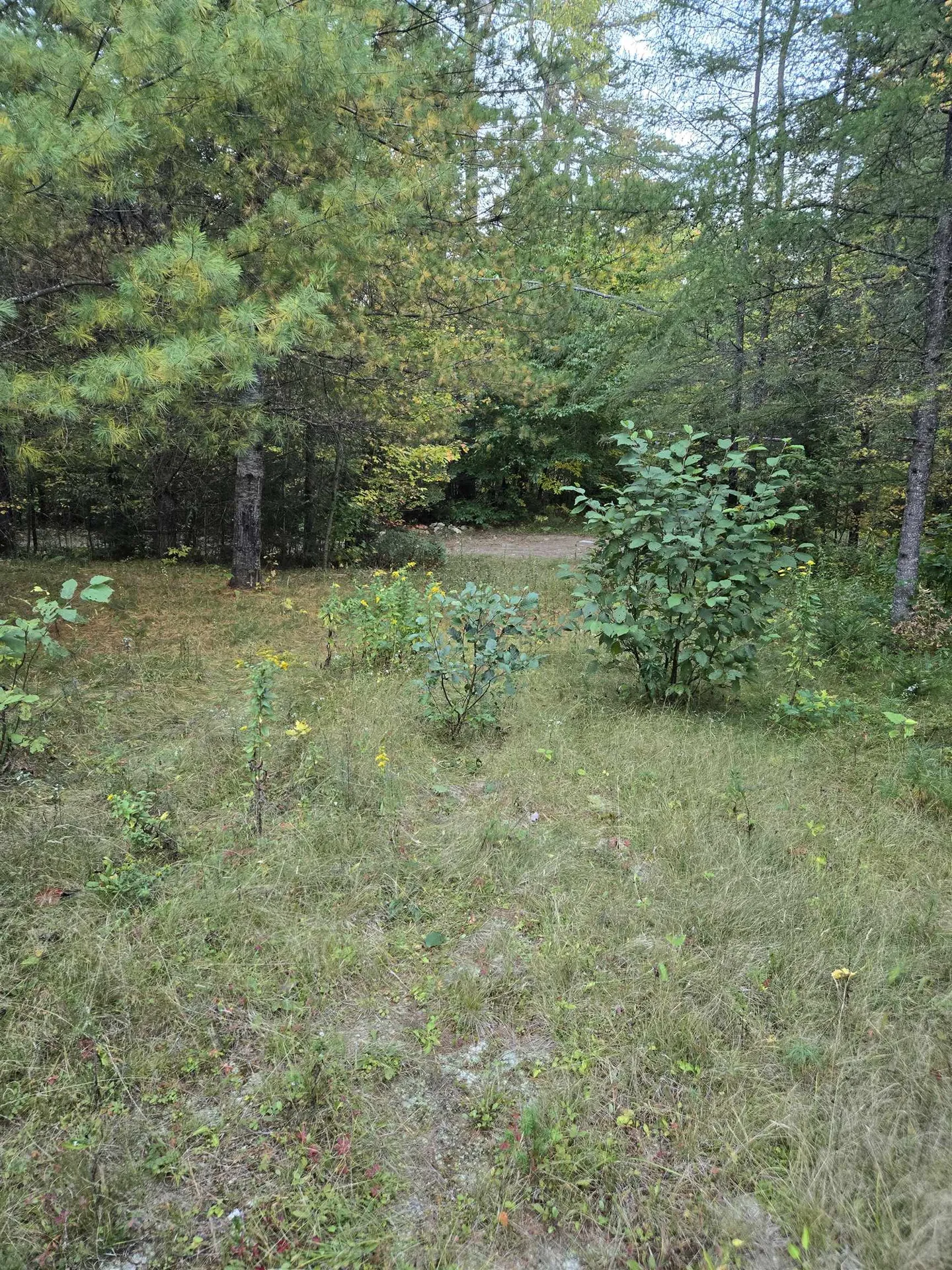 1058 Red Brook Road Groton VT 05046