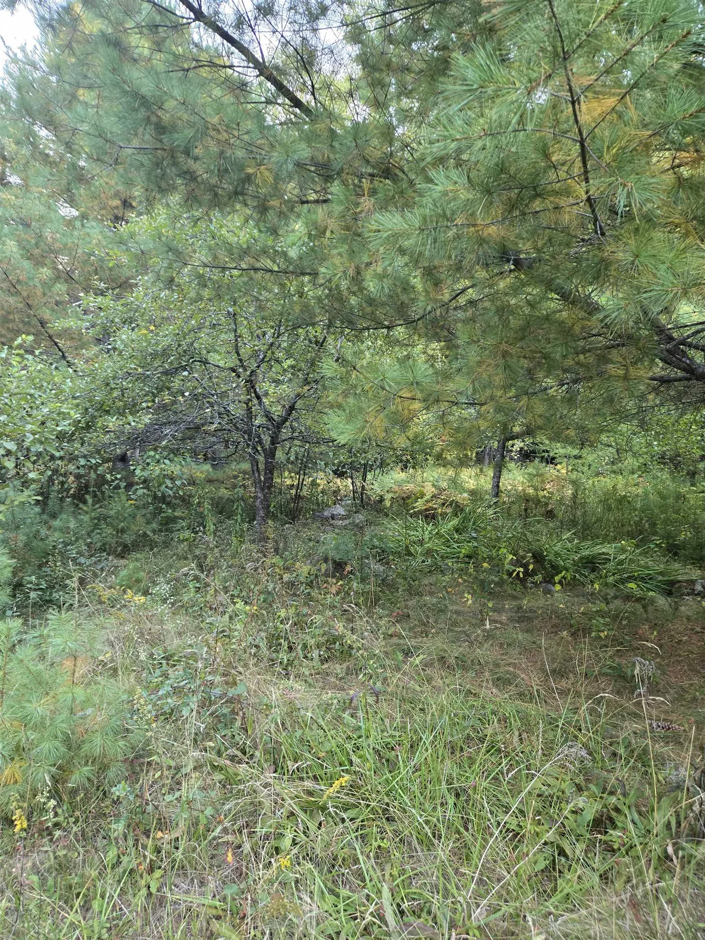 1058 Red Brook Road Groton VT 05046