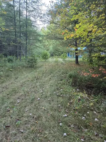 1058 Red Brook Road Groton VT 05046