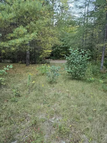 1058 Red Brook Road Groton VT 05046