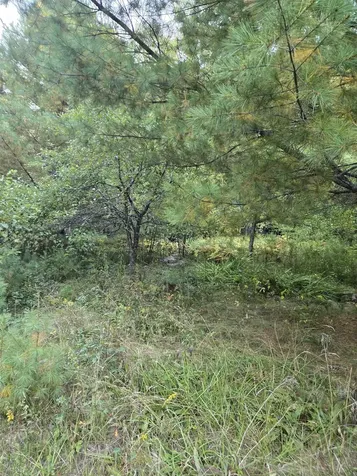 1058 Red Brook Road Groton VT 05046