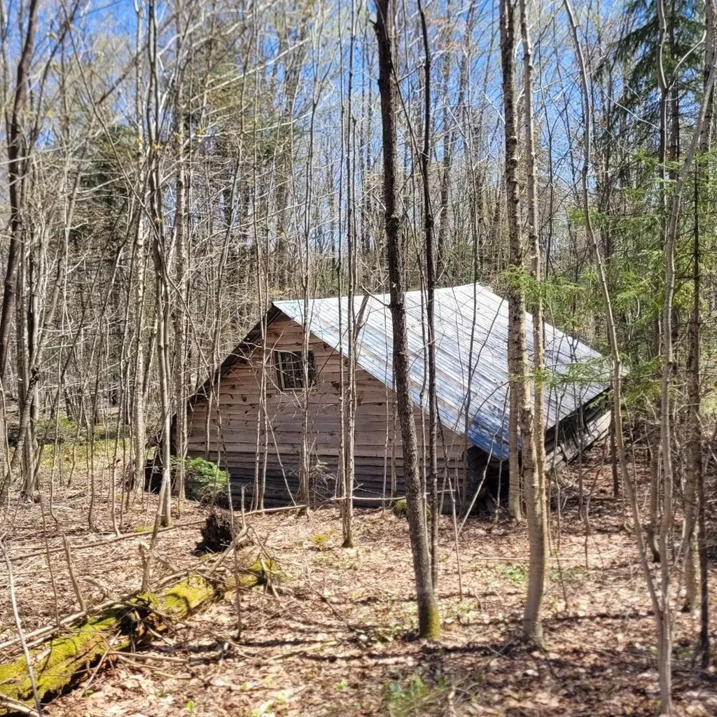 000 Lot B Kinney Hill Road Newark VT 05871