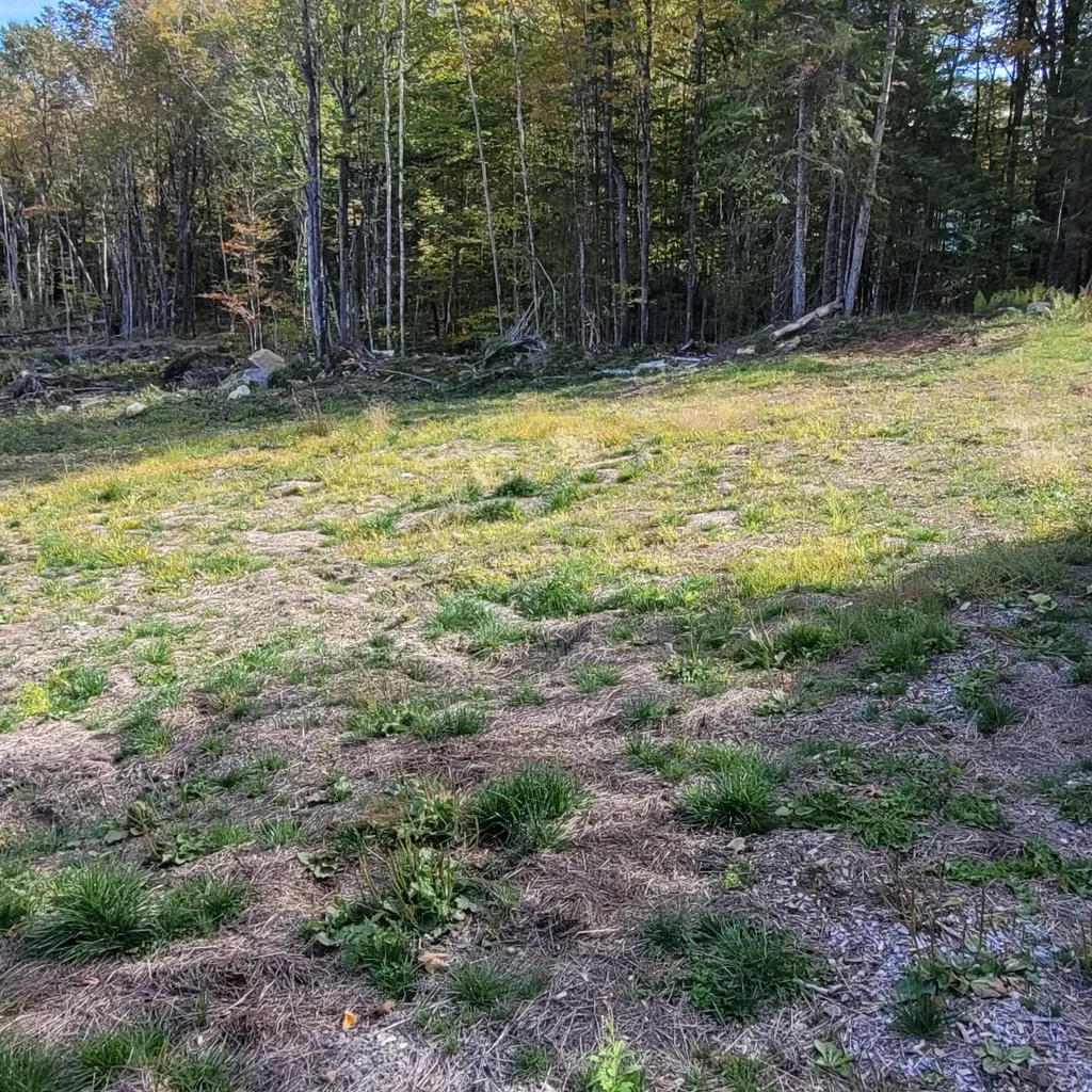 000 Lot B Kinney Hill Road Newark VT 05871