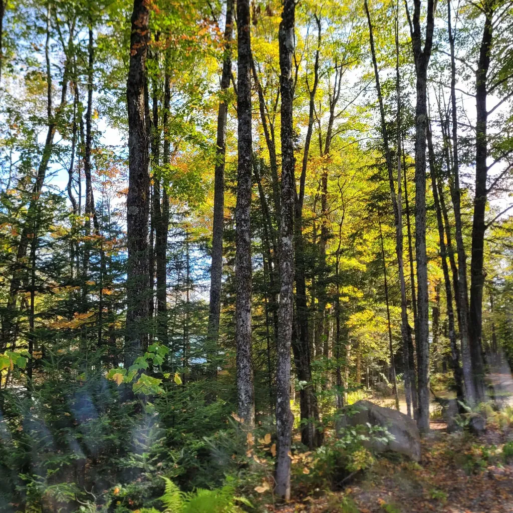 000 Lot B Kinney Hill Road Newark VT 05871