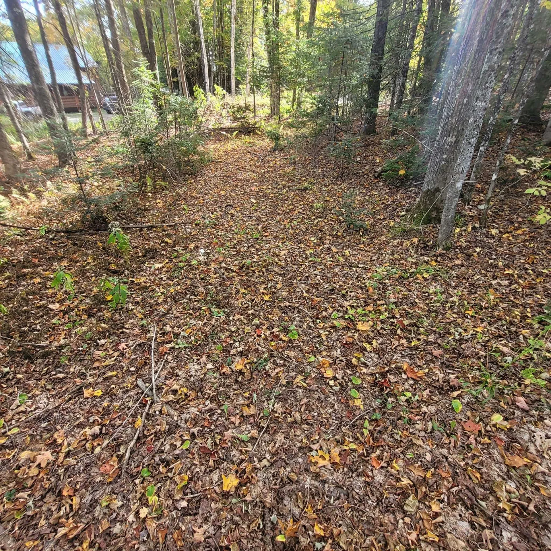 000 Lot B Kinney Hill Road Newark VT 05871