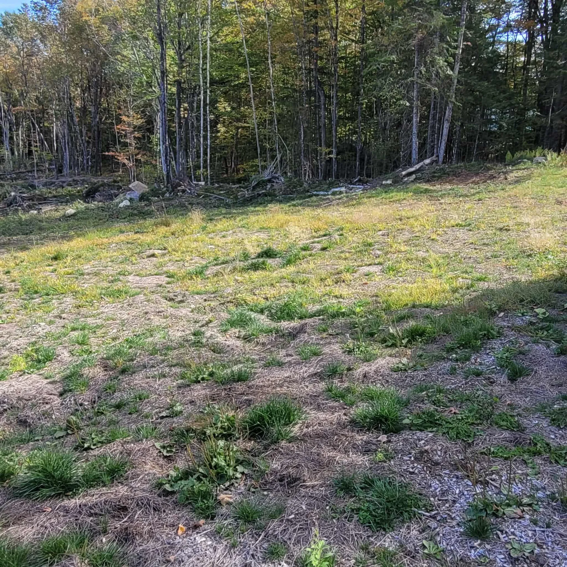 000 Lot B Kinney Hill Road Newark VT 05871