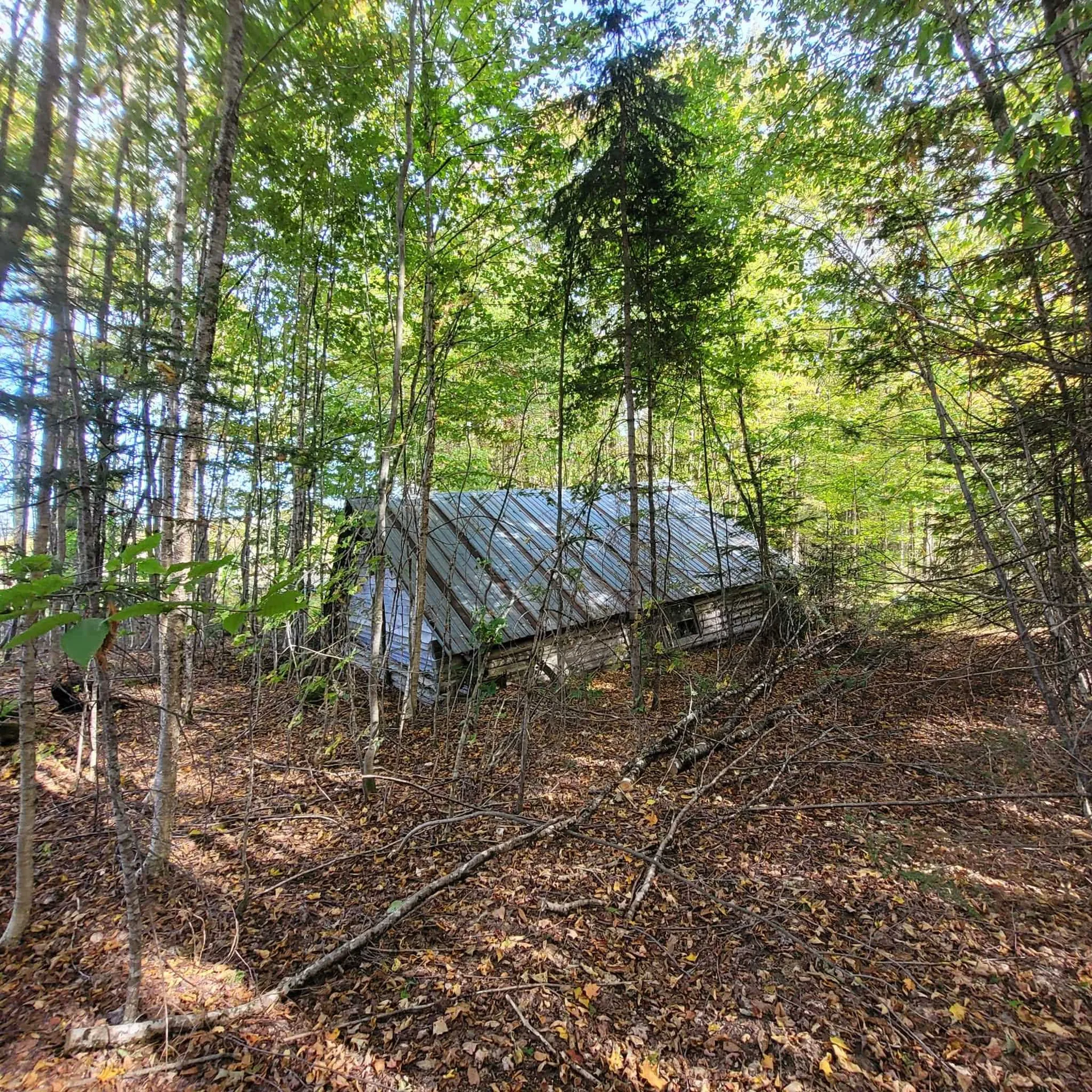 000 Lot B Kinney Hill Road Newark VT 05871