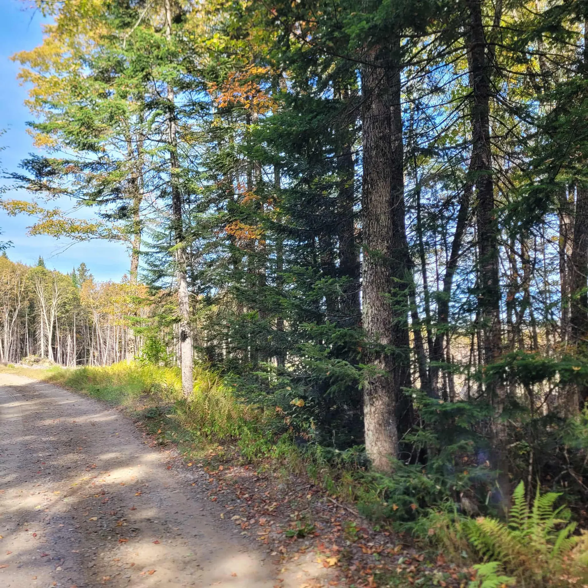 000 Lot B Kinney Hill Road Newark VT 05871