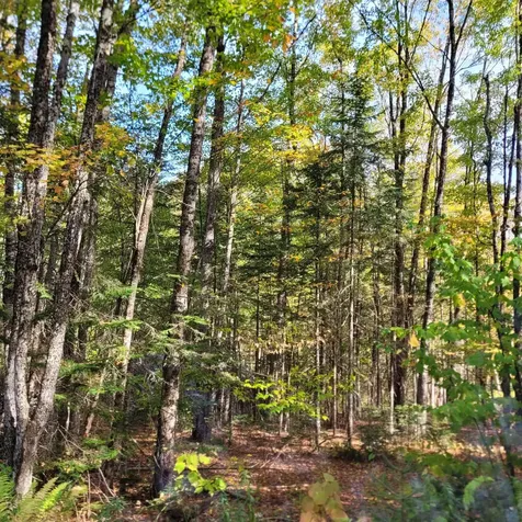 000 Lot B Kinney Hill Road Newark VT 05871