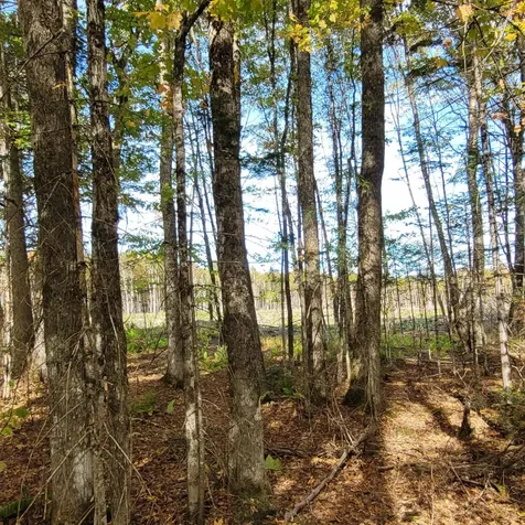 000 Lot B Kinney Hill Road Newark VT 05871