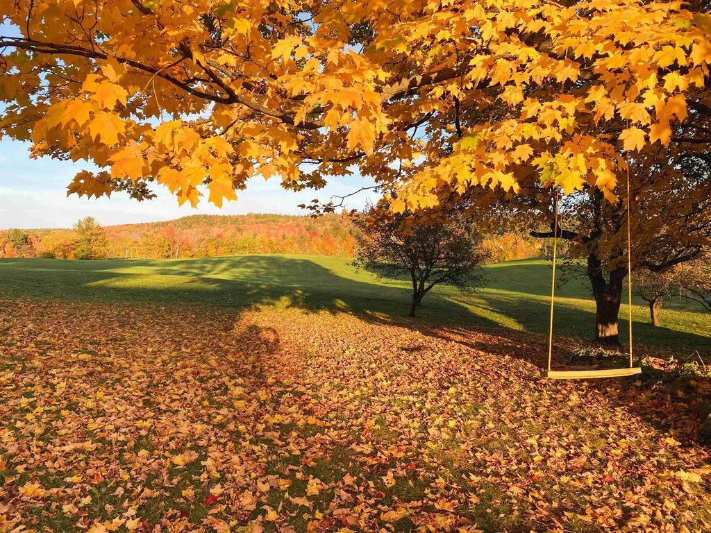 2507 Vermont Route 100 Lowell VT 05847