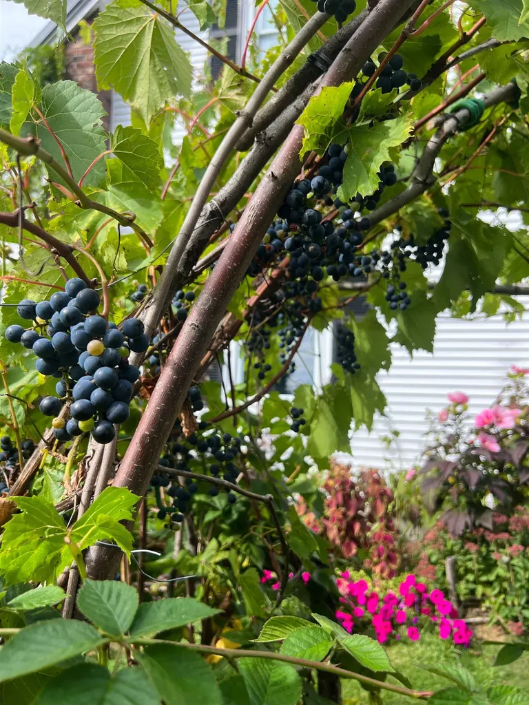 2507 Vermont Route 100 Lowell VT 05847