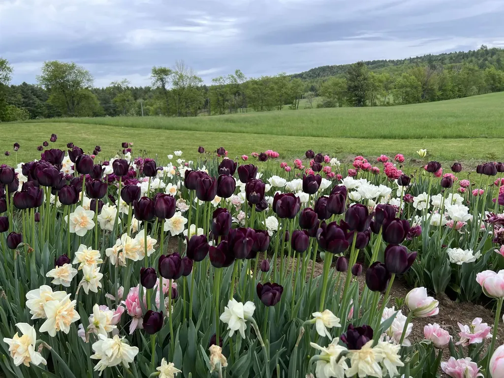 2507 Vermont Route 100 Lowell VT 05847