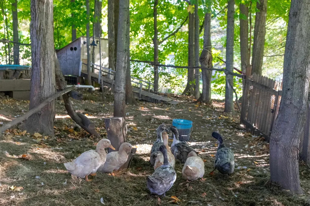 2507 Vermont Route 100 Lowell VT 05847