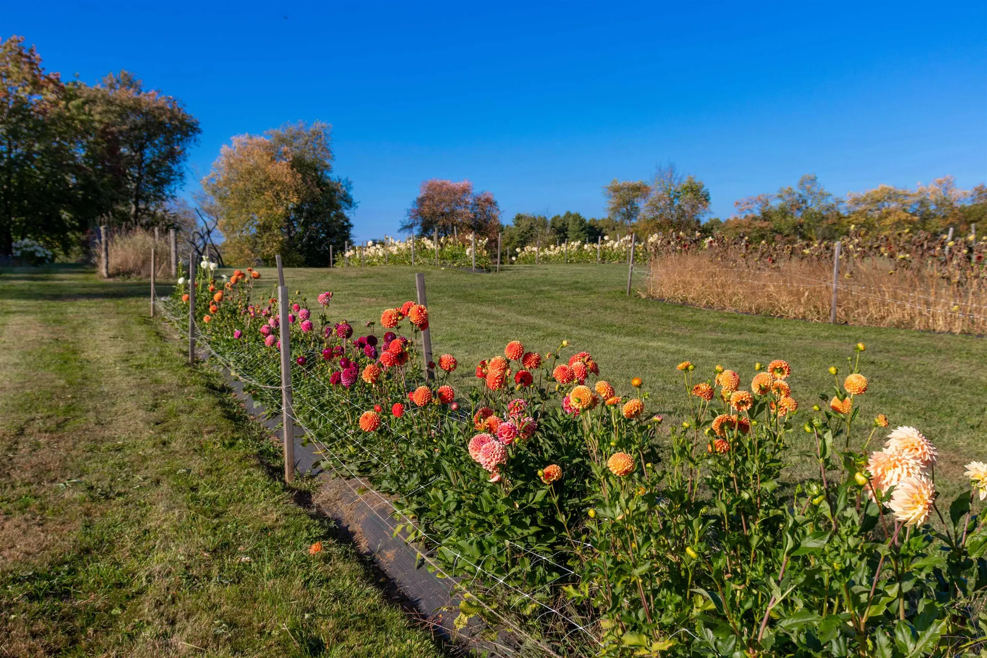 2507 Vermont Route 100 Lowell VT 05847