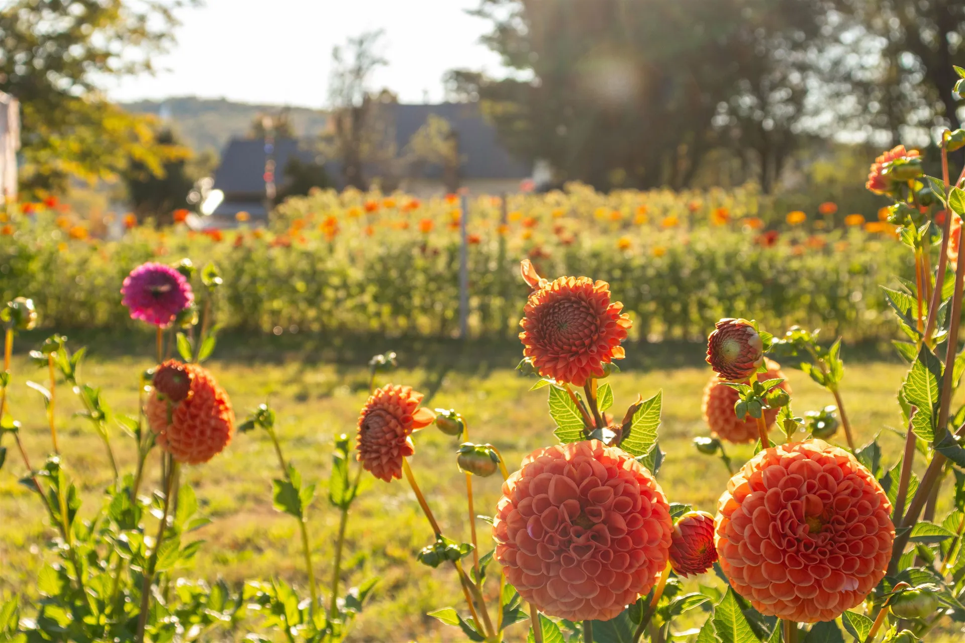 2507 Vermont Route 100 Lowell VT 05847