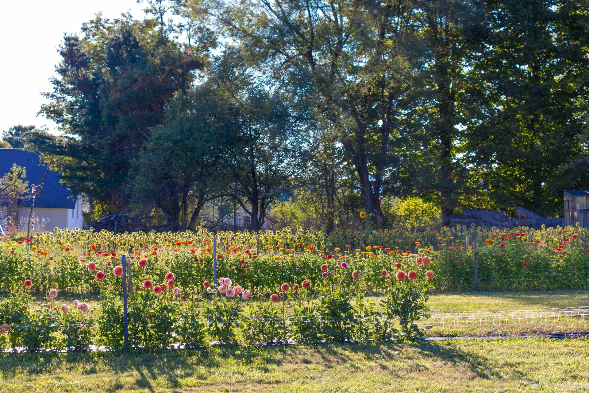 2507 Vermont Route 100 Lowell VT 05847