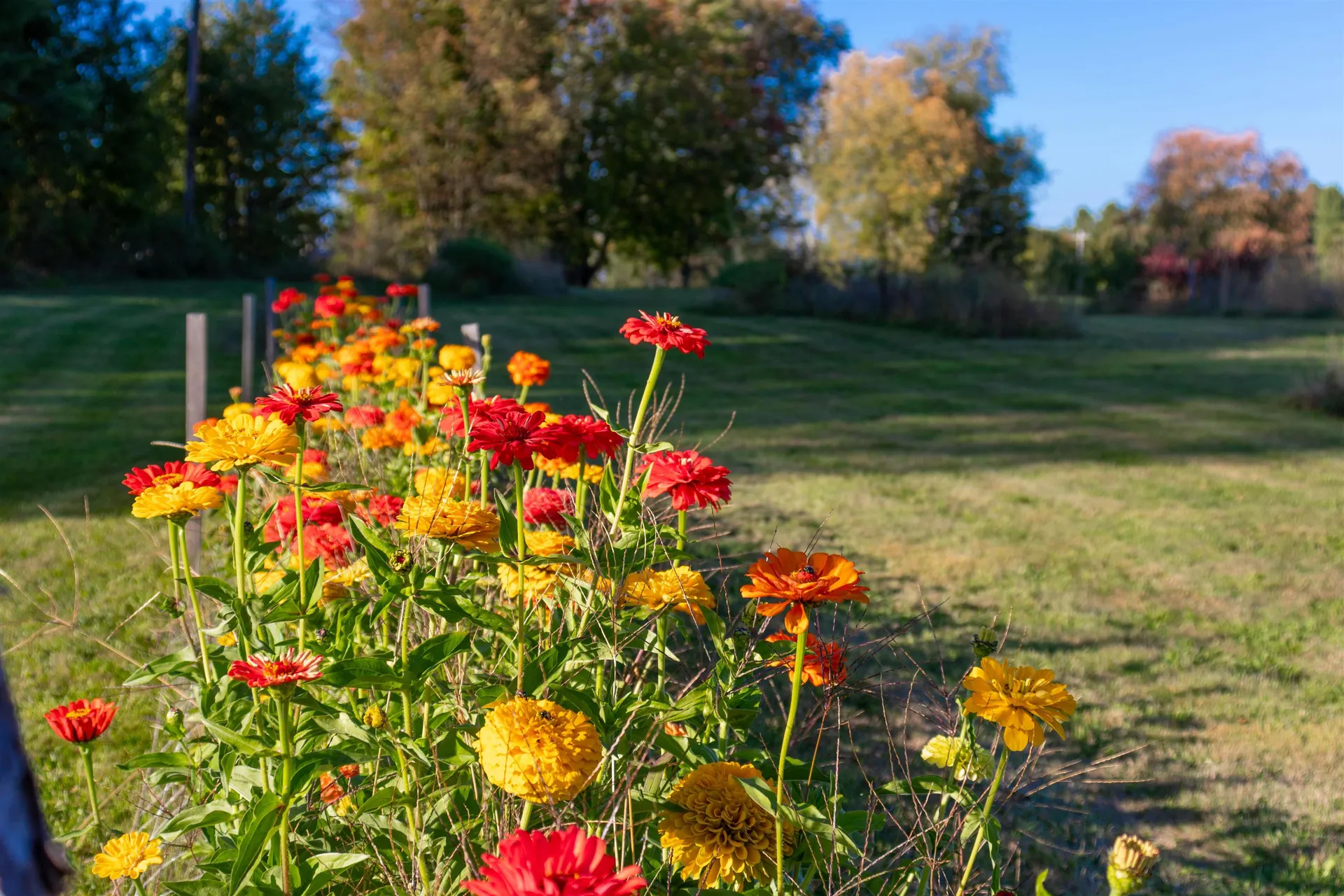 2507 Vermont Route 100 Lowell VT 05847