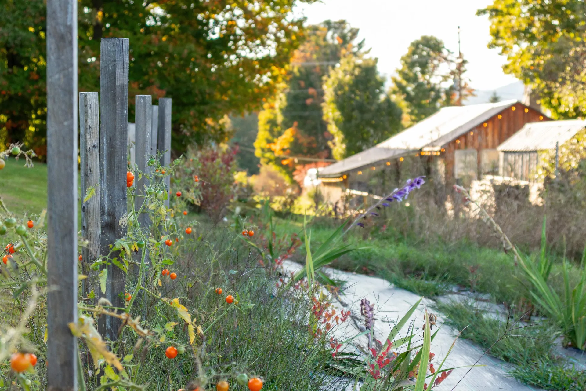 2507 Vermont Route 100 Lowell VT 05847