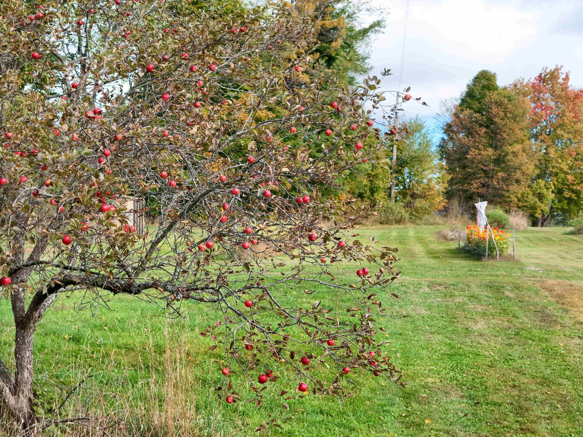 2507 Vt Route 100 Lowell VT 05847