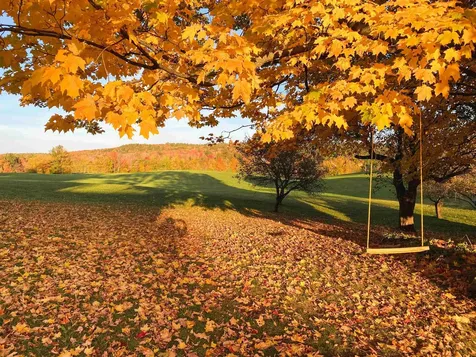 2507 Vermont Route 100 Lowell VT 05847