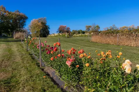 2507 Vermont Route 100 Lowell VT 05847