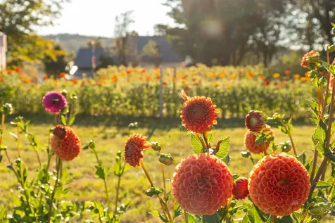 2507 Vermont Route 100 Lowell VT 05847