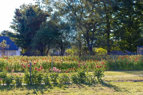 2507 Vermont Route 100 Lowell VT 05847