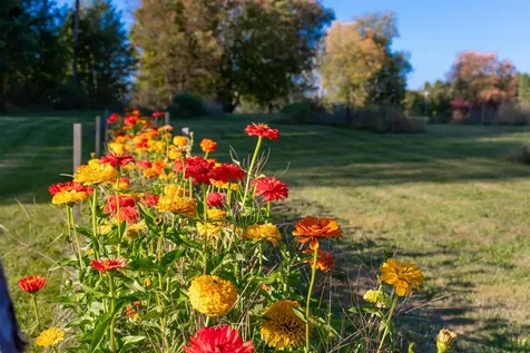 2507 Vermont Route 100 Lowell VT 05847