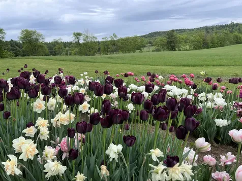 2507 Vermont Route 100 Lowell VT 05847