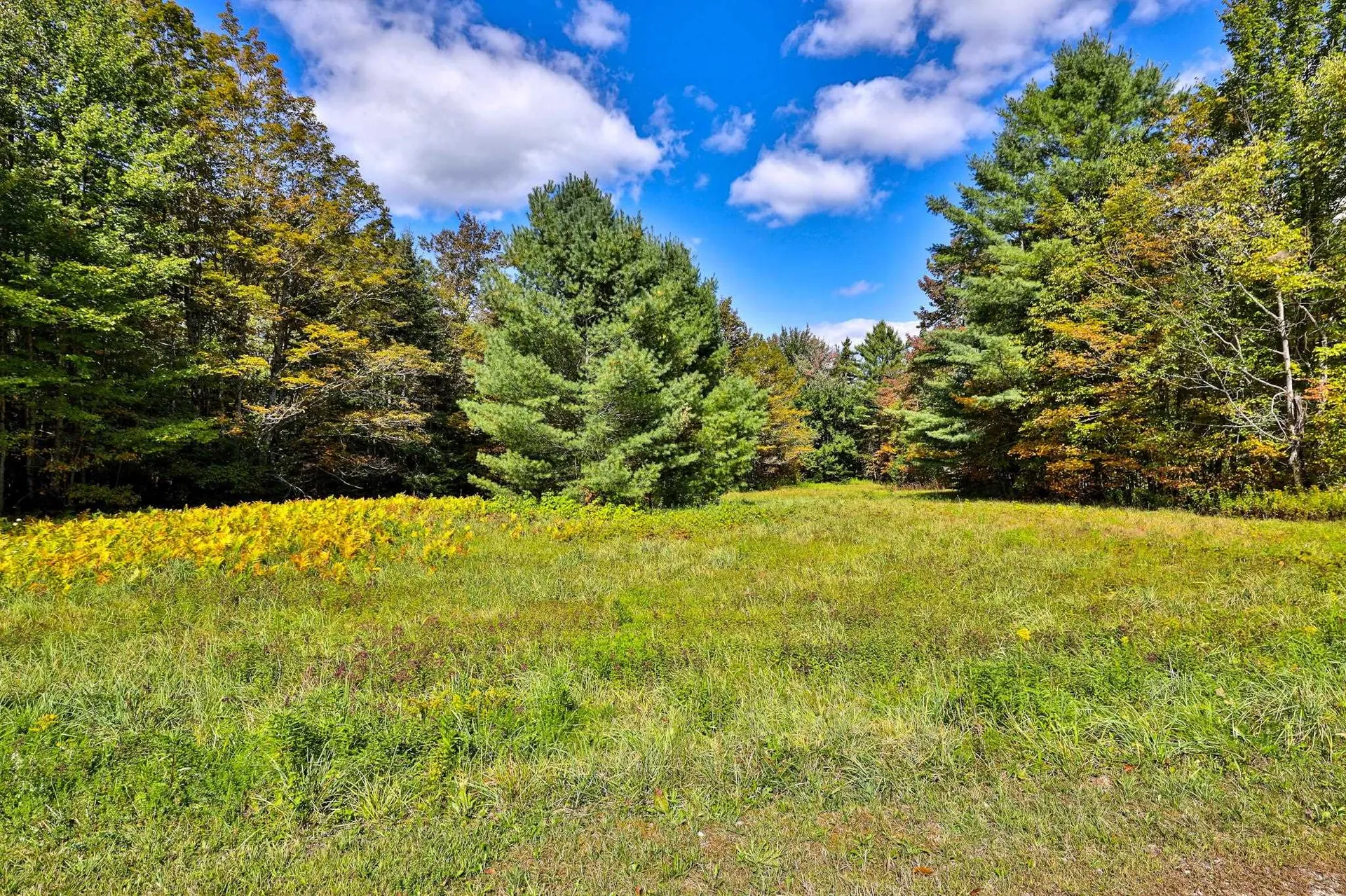 1093 Middle Hollow Road Rochester VT 05767