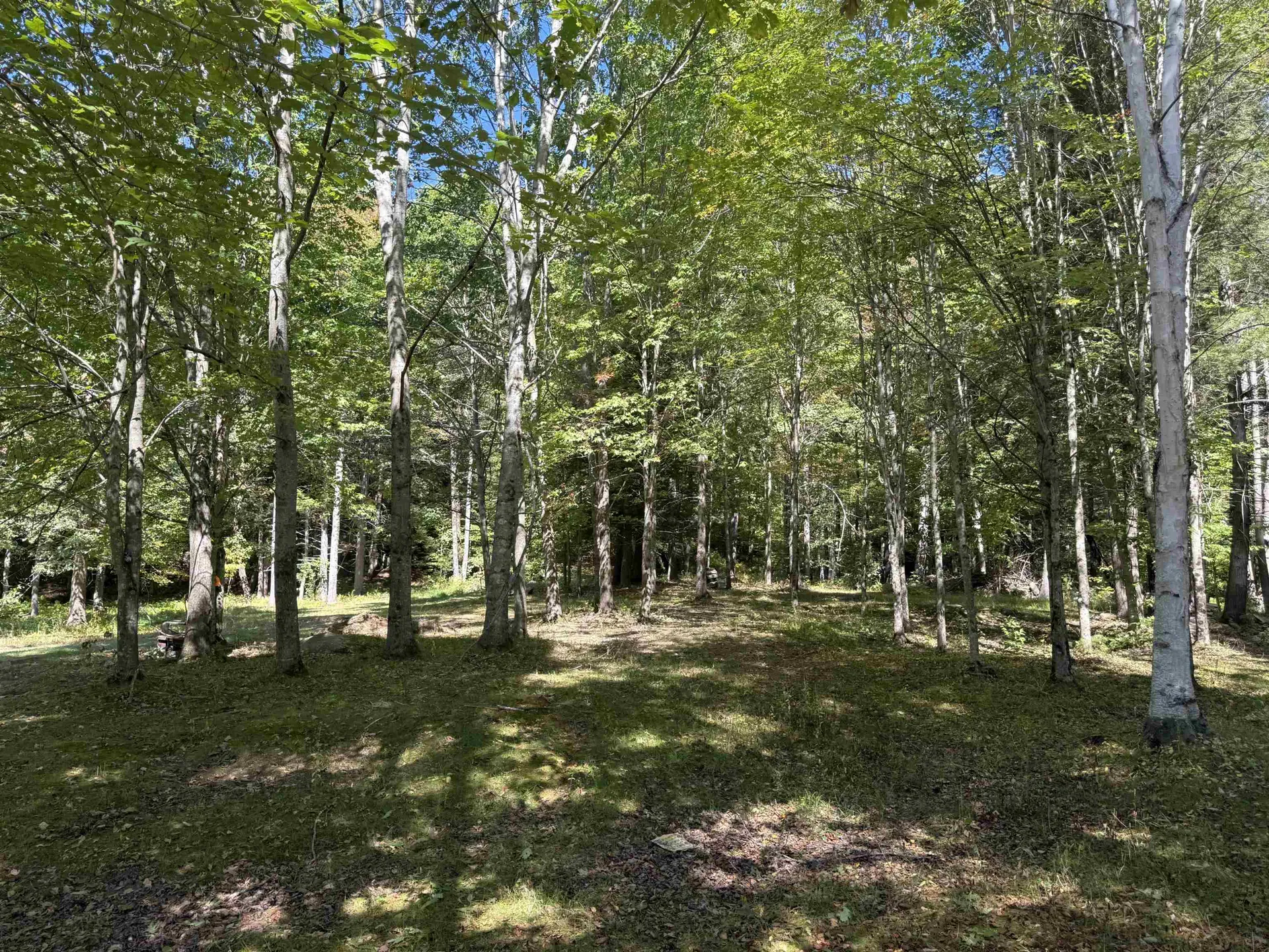 252 Gordon Hill Road Alexandria NH 03222