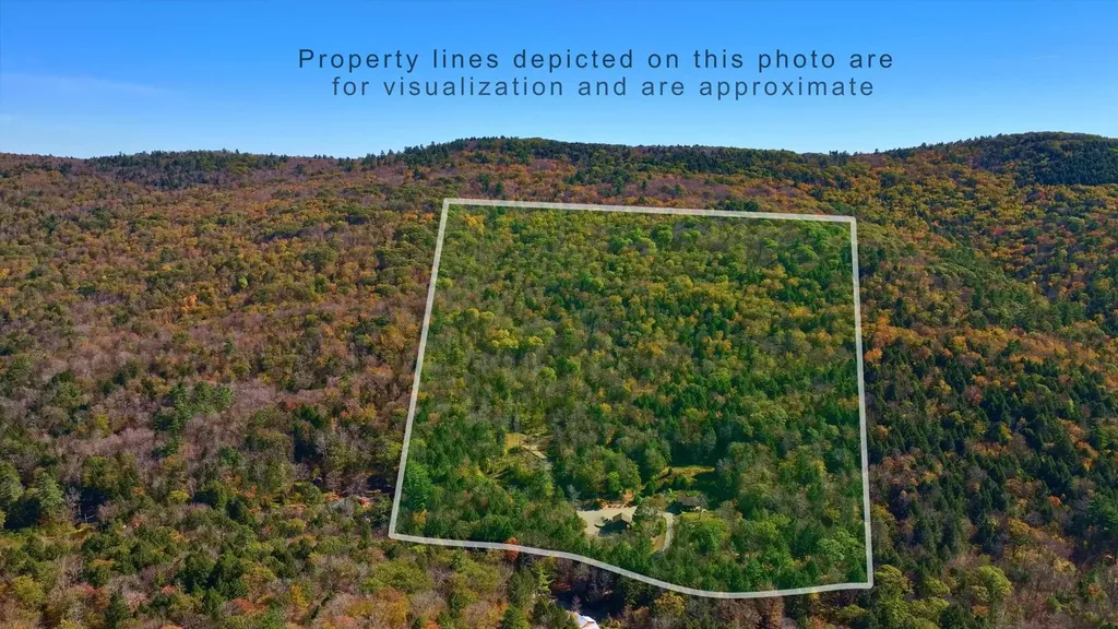 1382 Grassy Brook Road Brookline VT 05345