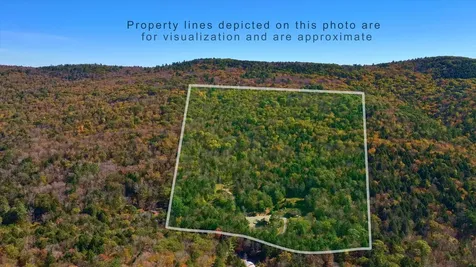 1382 Grassy Brook Road Brookline VT 05345