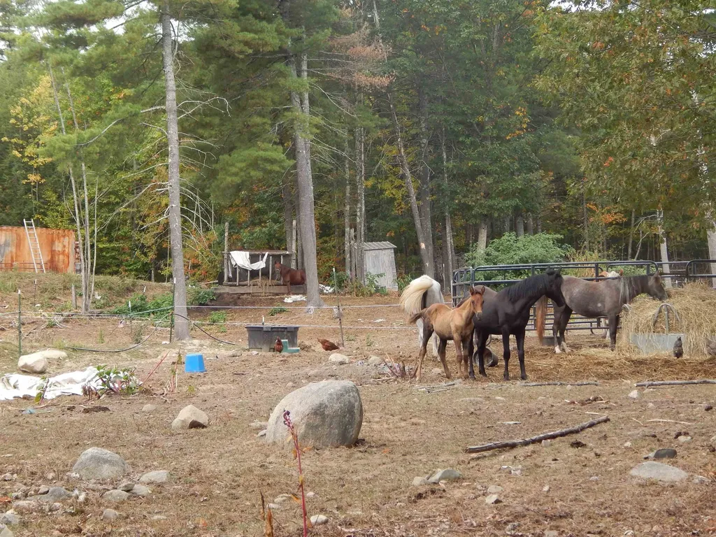 125 Corn Hill Road Brownfield ME 04010