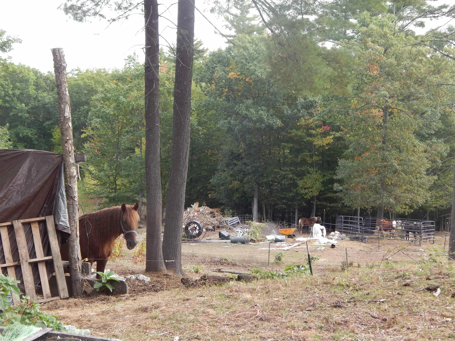 125 Corn Hill Road Brownfield ME 04010