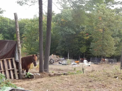 125 Corn Hill Road Brownfield ME 04010