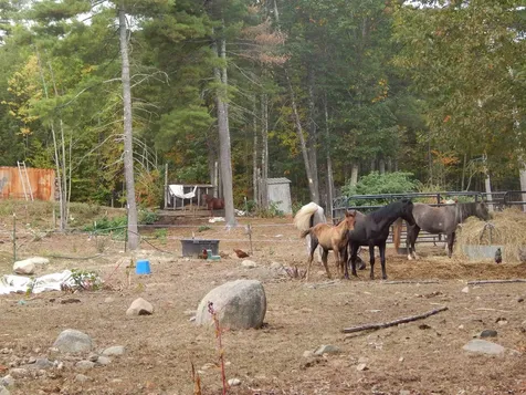 125 Corn Hill Road Brownfield ME 04010