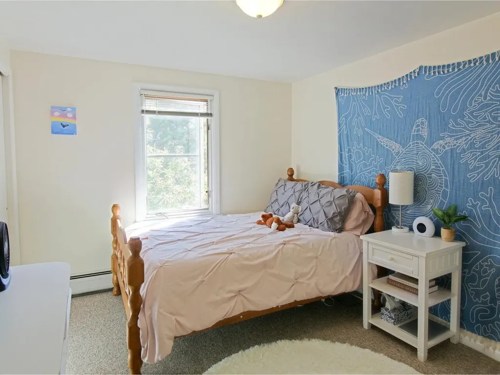 239 South Union Street Burlington VT 05401