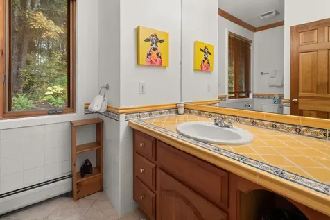 835 Alpine View Road Stowe VT 05672