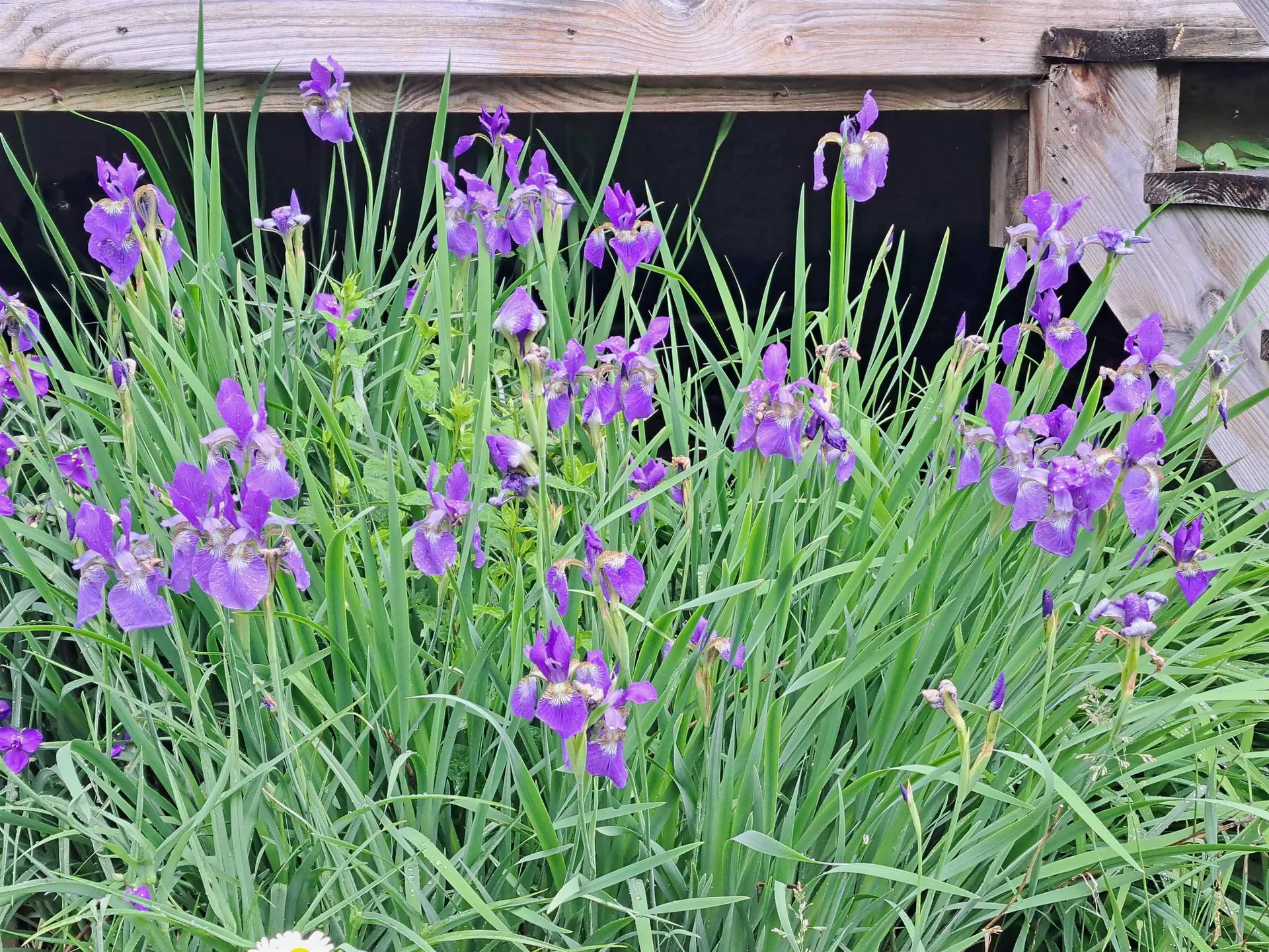 823 Country Land Drive Haverhill NH 03774