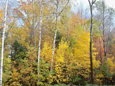 823 Country Land Drive Haverhill NH 03774