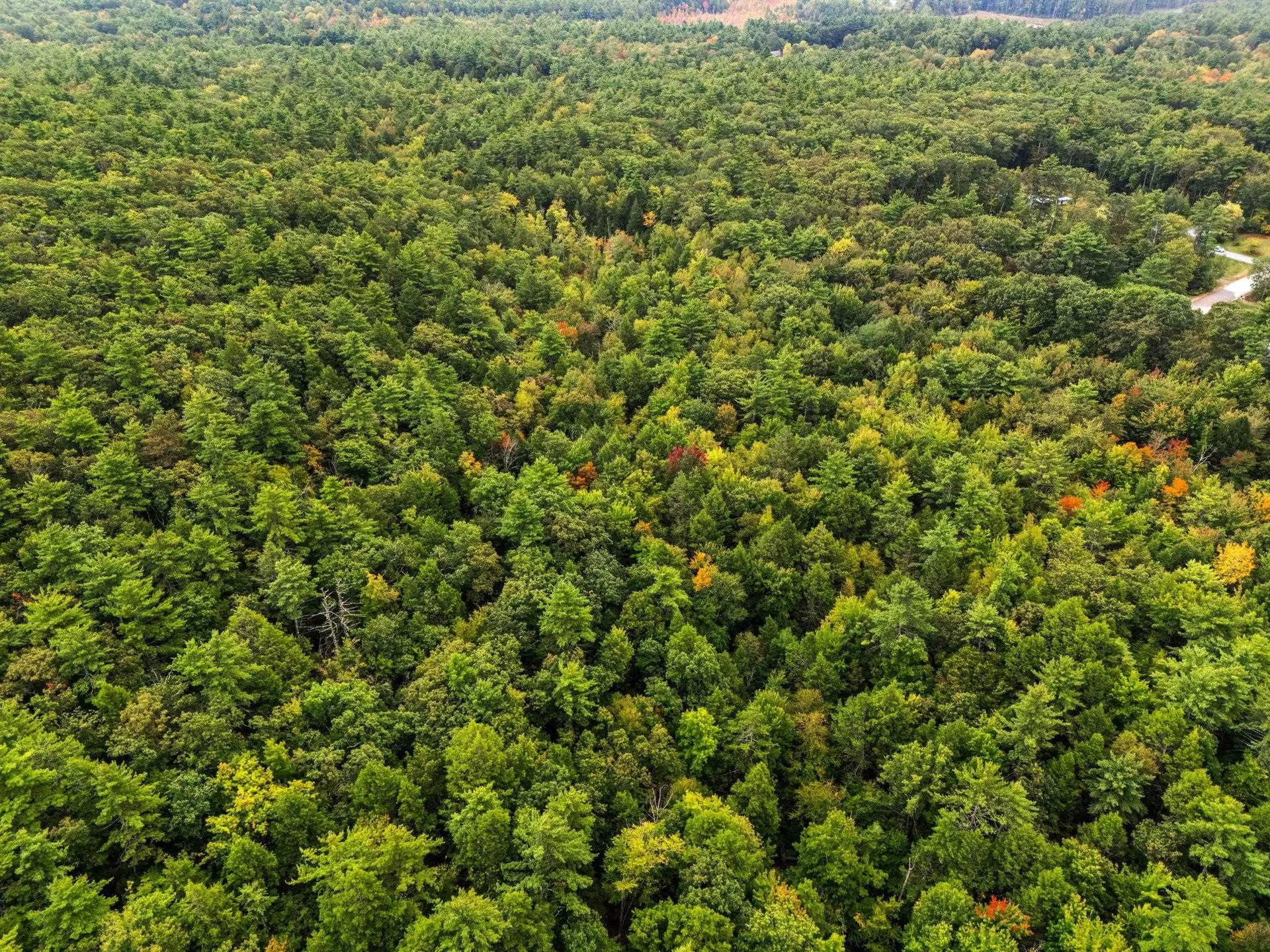 00 Raymond Road Auburn NH 03032