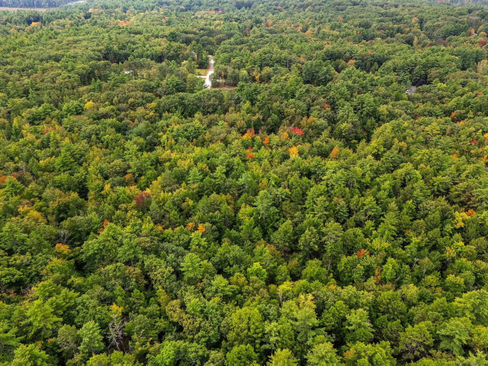 00 Raymond Road Auburn NH 03032