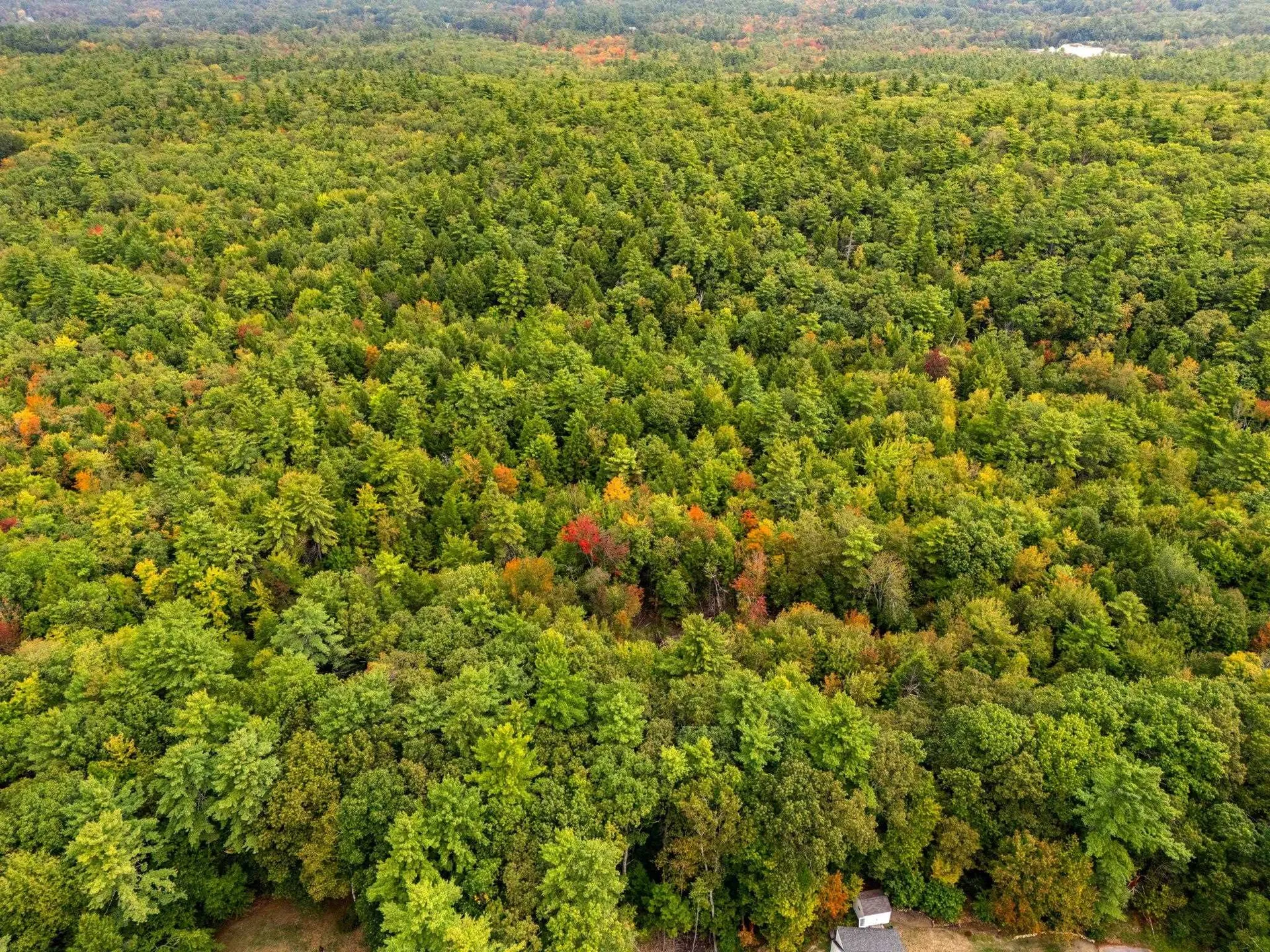 00 Raymond Road Auburn NH 03032