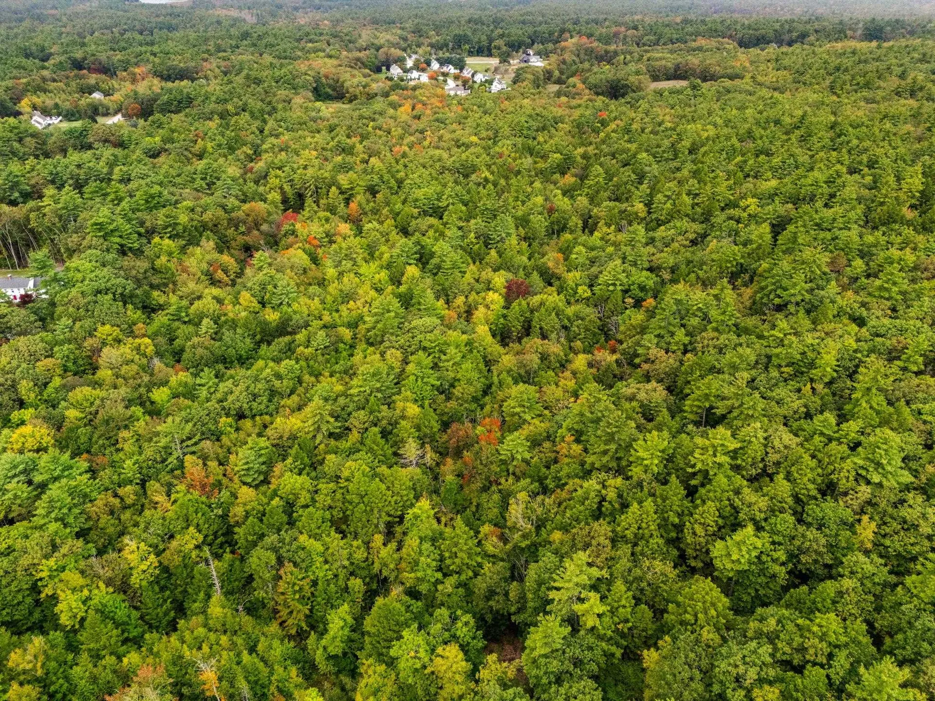 00 Raymond Road Auburn NH 03032