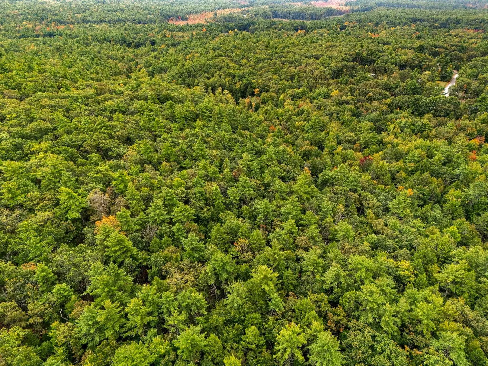 00 Raymond Road Auburn NH 03032